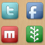 Social media icons